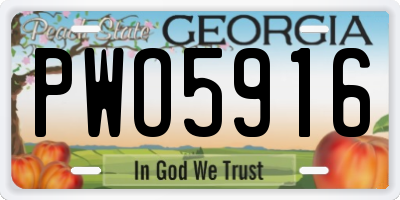 GA license plate PWO5916