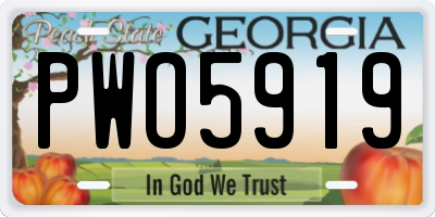 GA license plate PWO5919
