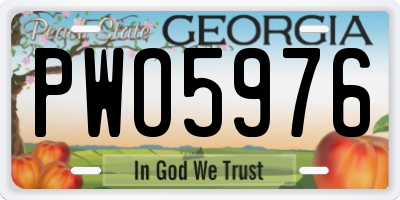 GA license plate PWO5976