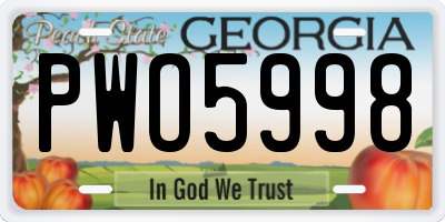 GA license plate PWO5998