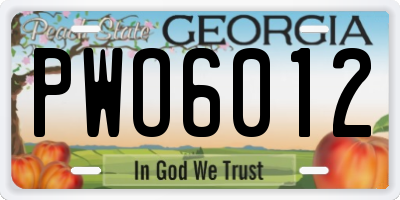 GA license plate PWO6012