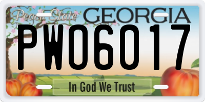 GA license plate PWO6017