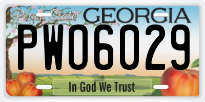 GA license plate PWO6029