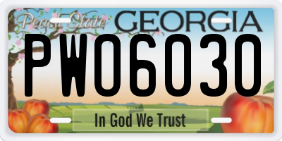 GA license plate PWO6030