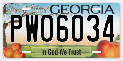 GA license plate PWO6034