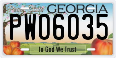 GA license plate PWO6035