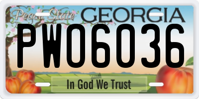 GA license plate PWO6036