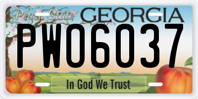 GA license plate PWO6037
