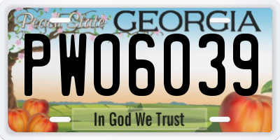 GA license plate PWO6039