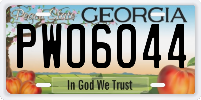 GA license plate PWO6044