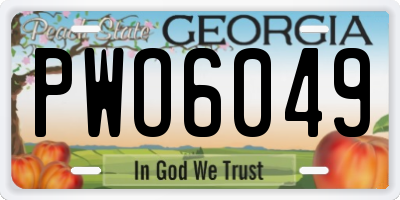 GA license plate PWO6049