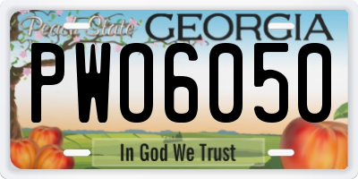 GA license plate PWO6050