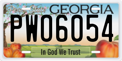 GA license plate PWO6054