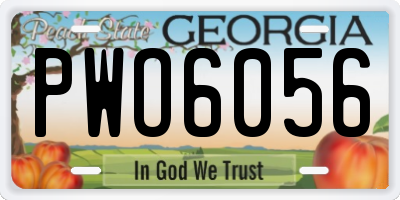 GA license plate PWO6056