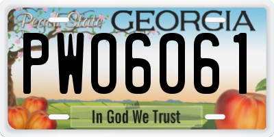 GA license plate PWO6061