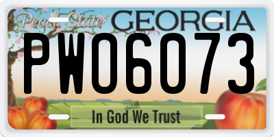 GA license plate PWO6073