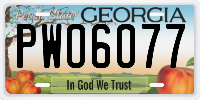 GA license plate PWO6077