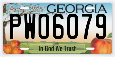 GA license plate PWO6079