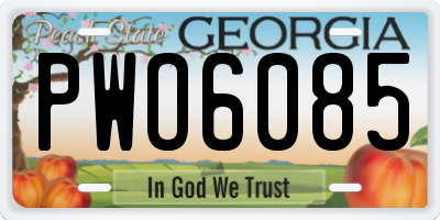 GA license plate PWO6085