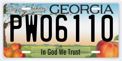 GA license plate PWO6110