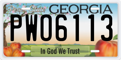 GA license plate PWO6113