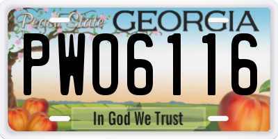GA license plate PWO6116