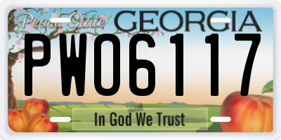 GA license plate PWO6117