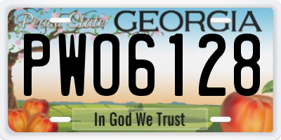 GA license plate PWO6128