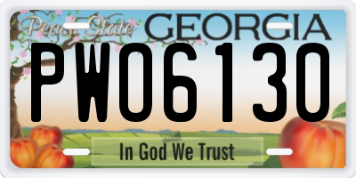 GA license plate PWO6130