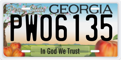 GA license plate PWO6135