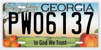 GA license plate PWO6137