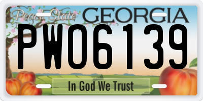 GA license plate PWO6139