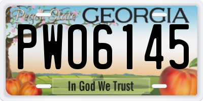 GA license plate PWO6145