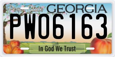 GA license plate PWO6163