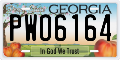 GA license plate PWO6164