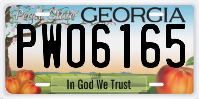 GA license plate PWO6165