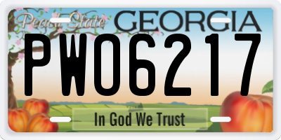GA license plate PWO6217