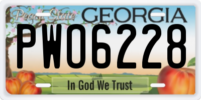 GA license plate PWO6228