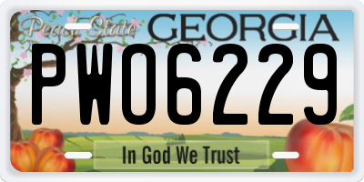 GA license plate PWO6229