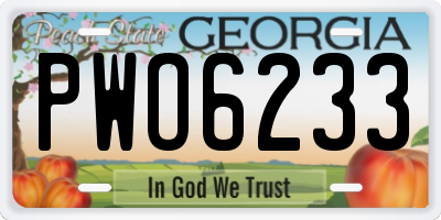 GA license plate PWO6233