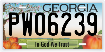 GA license plate PWO6239