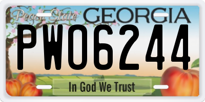 GA license plate PWO6244