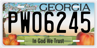 GA license plate PWO6245
