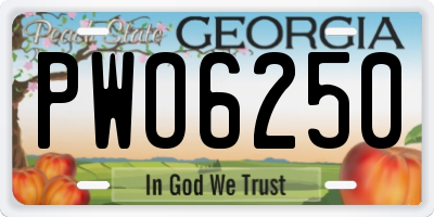 GA license plate PWO6250