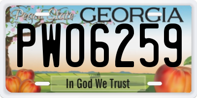 GA license plate PWO6259