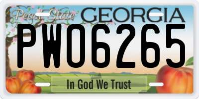 GA license plate PWO6265