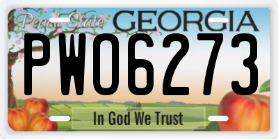 GA license plate PWO6273