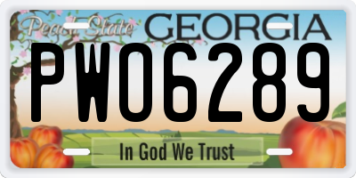 GA license plate PWO6289
