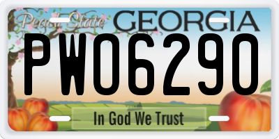 GA license plate PWO6290