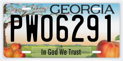 GA license plate PWO6291